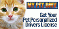 My Pet DMV