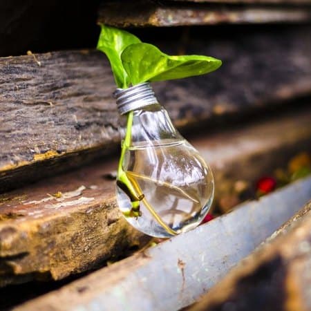 Green Living (Eco-Friendly)